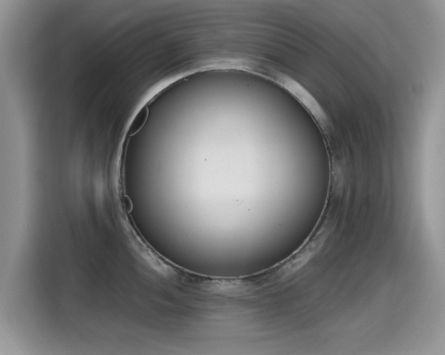 X0000115301052200911091008