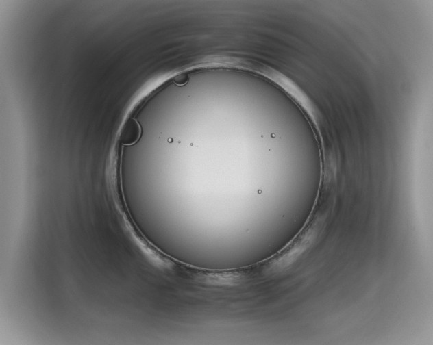 X0000115301053200911091008