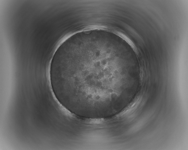 X0000115301055200911091008
