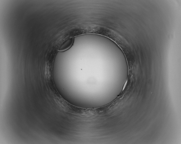 X0000115301058200911091008