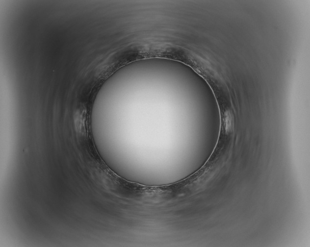X0000115301059200911091007