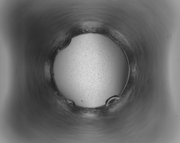 X0000115301060200911091007