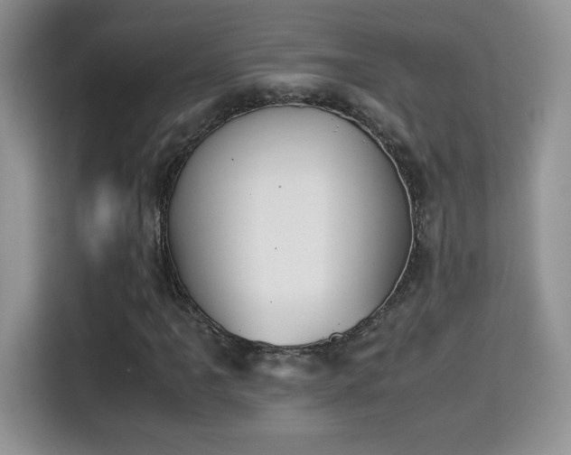 X0000115301061200911091007