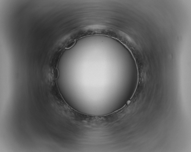 X0000115301062200911091007