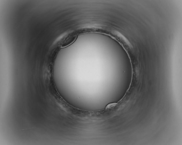 X0000115301064200911091007
