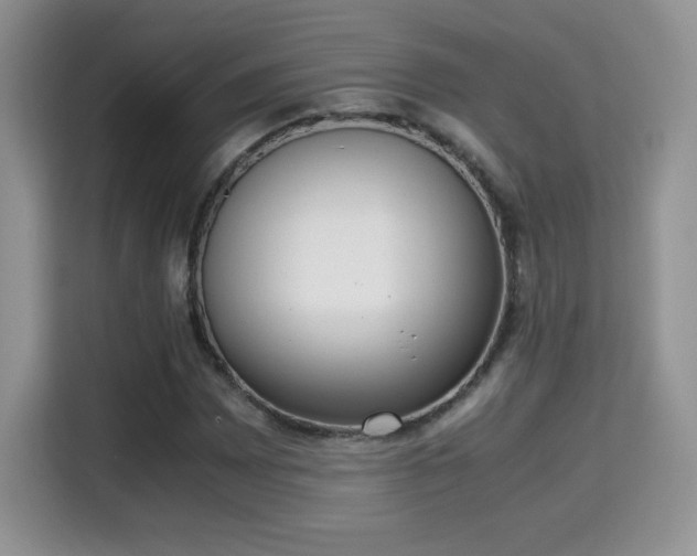 X0000115301065200911091007