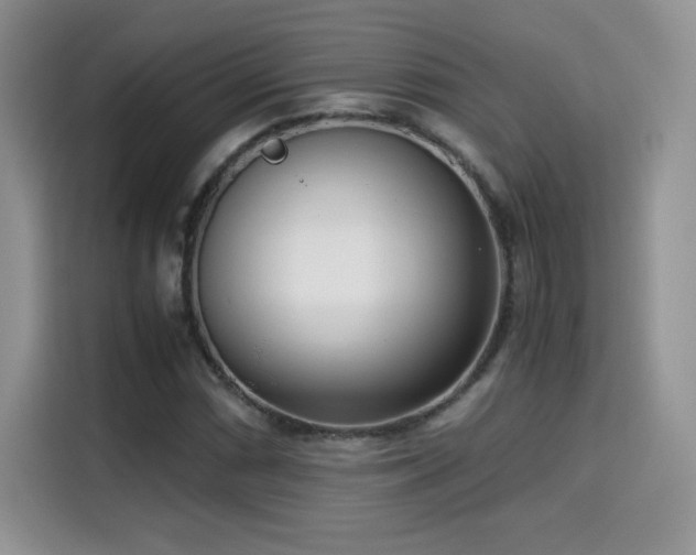 X0000115301066200911091007