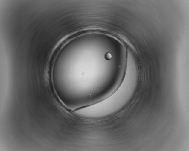X0000115301068200911091007
