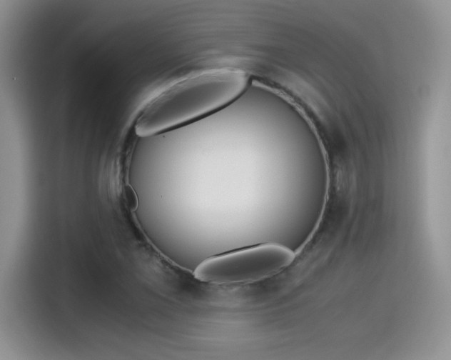 X0000115301069200911091007