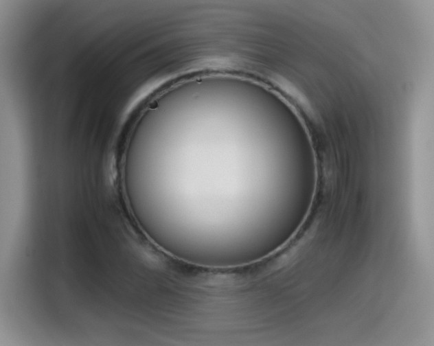 X0000115301070200911091007