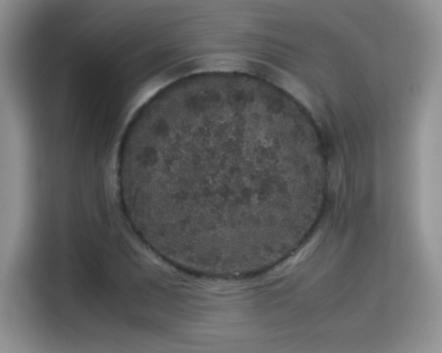 X0000115301071200911091007