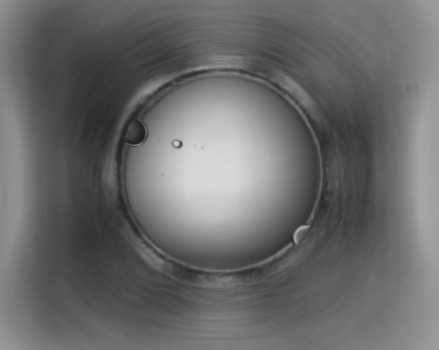X0000115301072200911091007