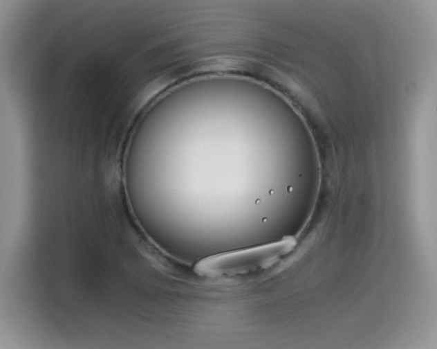 X0000115301073200911091007