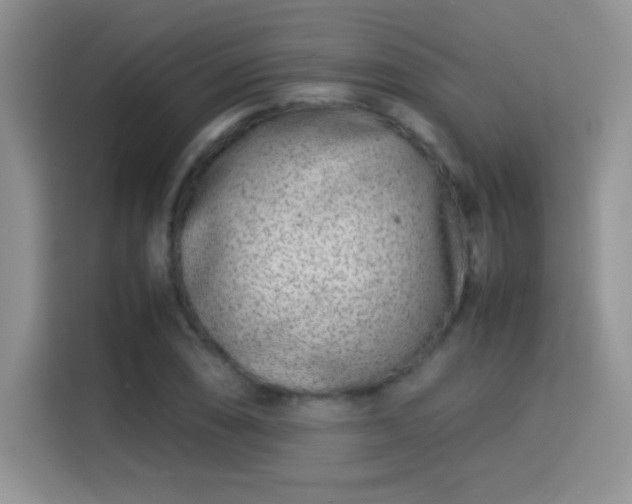 X0000115301074200911091007