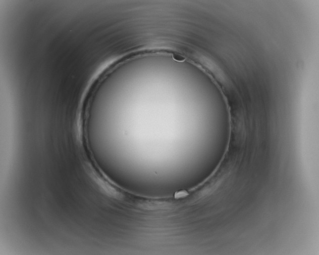 X0000115301076200911091007