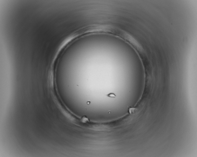 X0000115301079200911091007