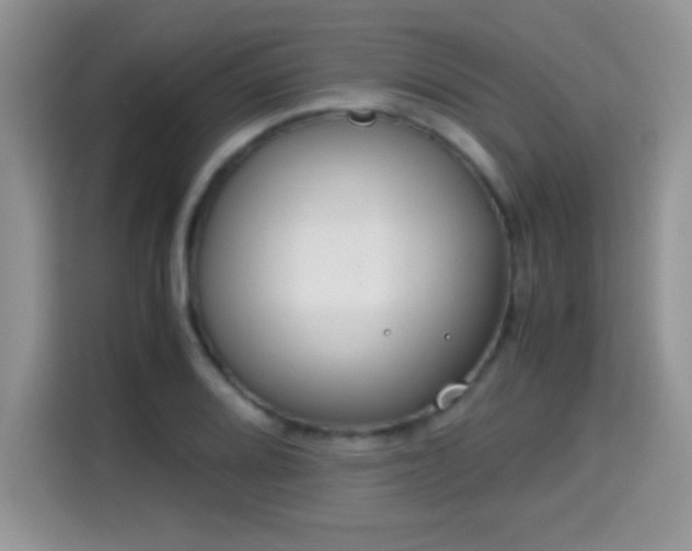 X0000115301080200911091007