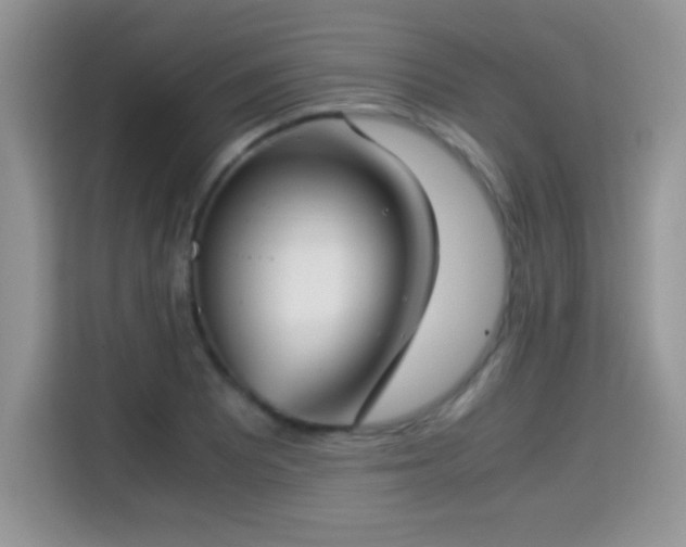X0000115301081200911091007