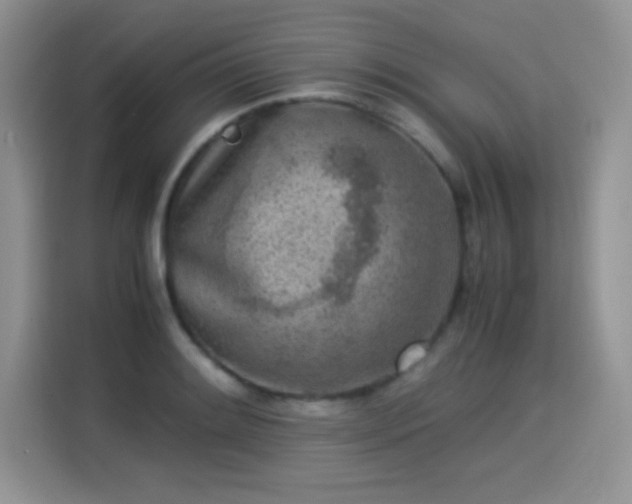 X0000115301084200911091007