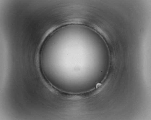 X0000115301085200911091007