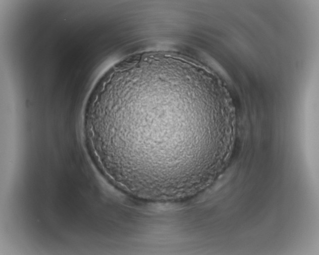 X0000115301087200911091007