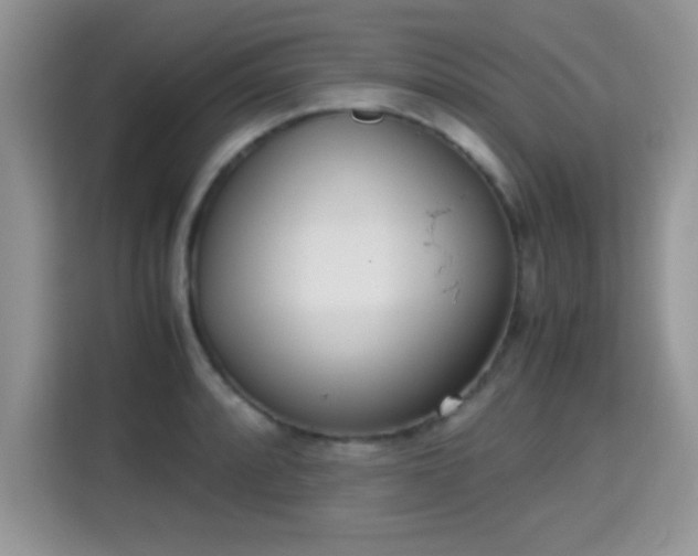 X0000115301088200911091007