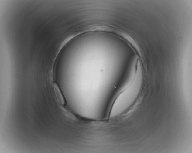 X0000115301089200911091007