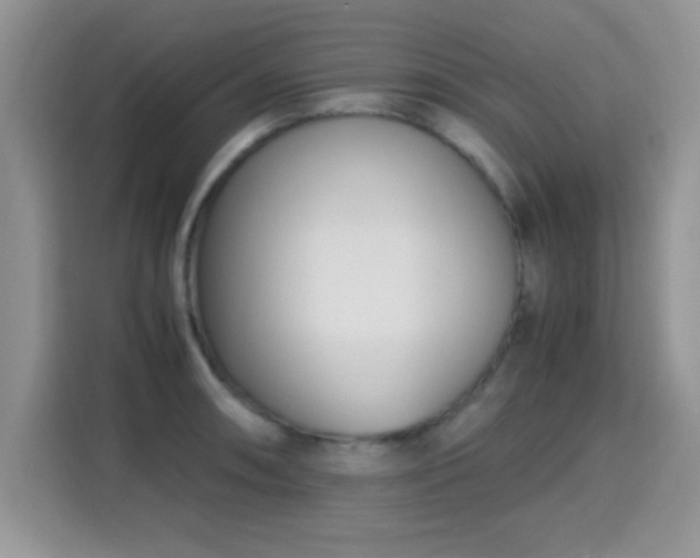 X0000115301090200911091007