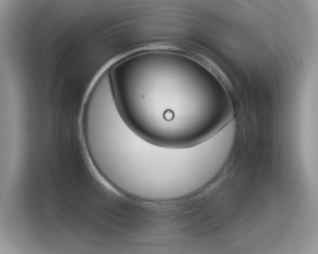 X0000115301092200911091007