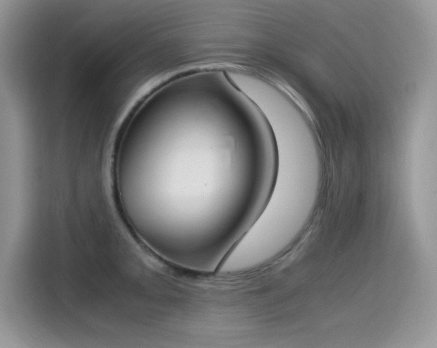 X0000115301093200911091007