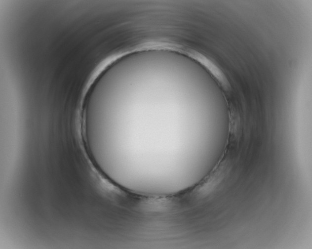 X0000115301094200911091007