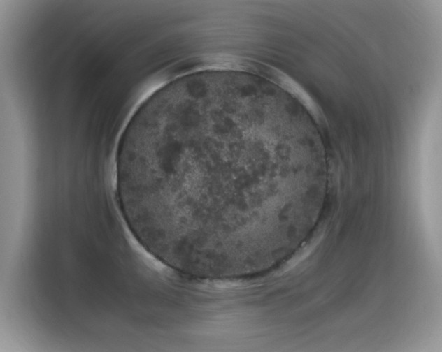 X0000115301095200911091007