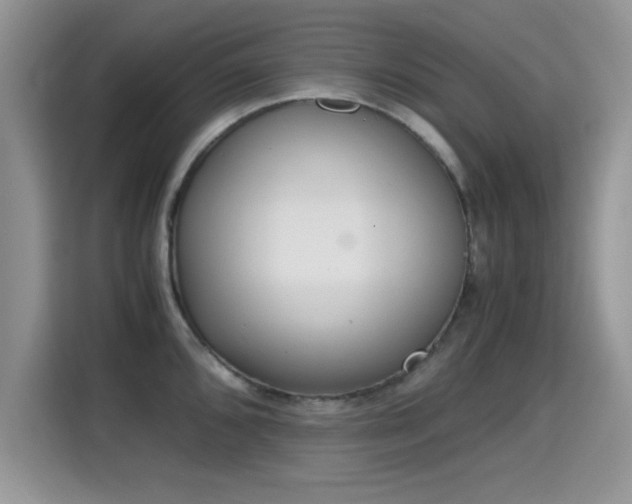 X0000115301096200911091007