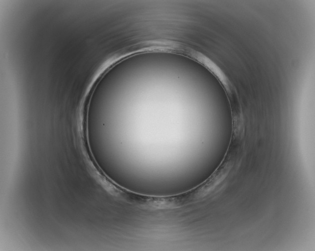 X0000115301099200911091007