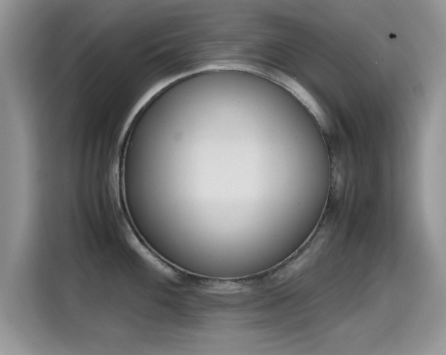 X0000115301100200911091007
