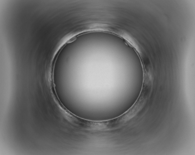 X0000115301101200911091007