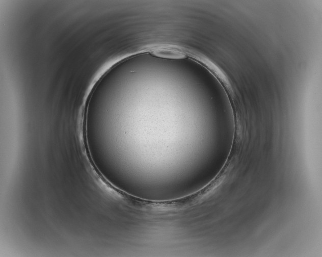 X0000115301102200911091007