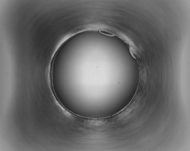 X0000115301103200911091007