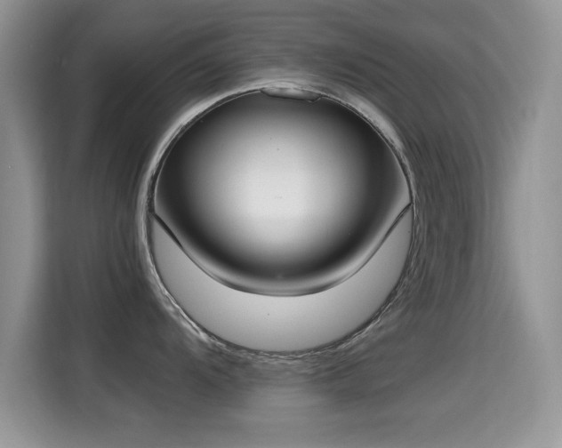 X0000115301104200911091007