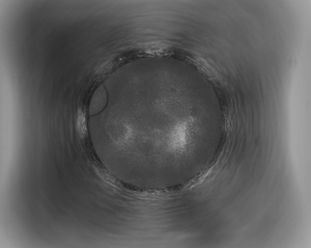X0000115301106200911091006