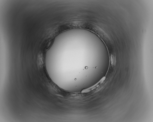 X0000115301107200911091006