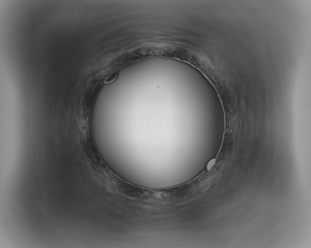 X0000115301109200911091006