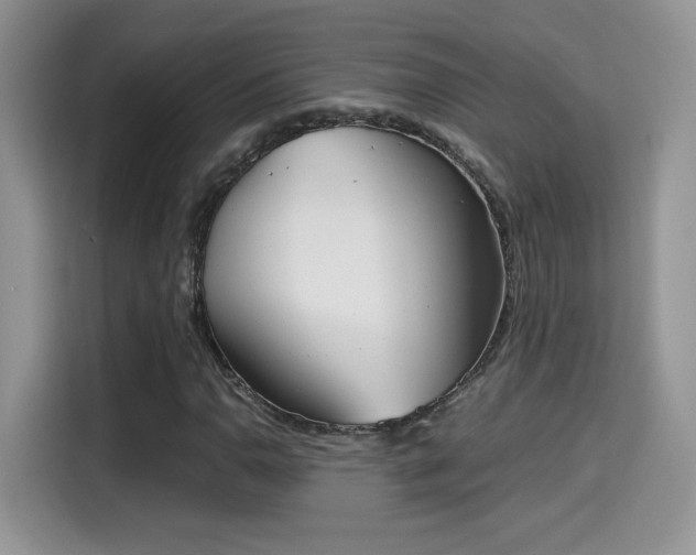 X0000115301110200911091006