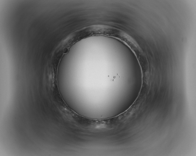X0000115301111200911091006