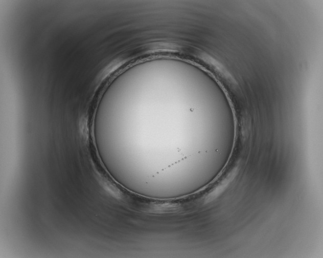 X0000115301113200911091006