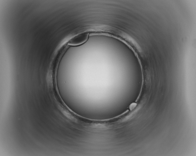 X0000115301114200911091006
