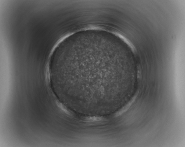 X0000115301117200911091006