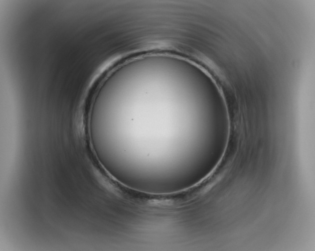X0000115301118200911091006