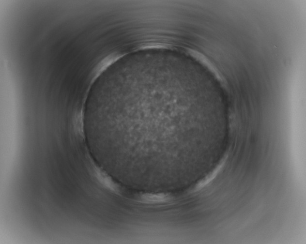 X0000115301121200911091006