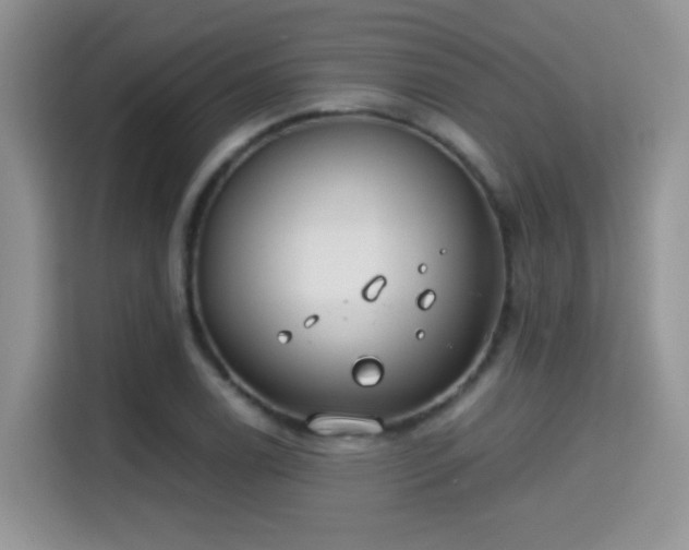 X0000115301122200911091007